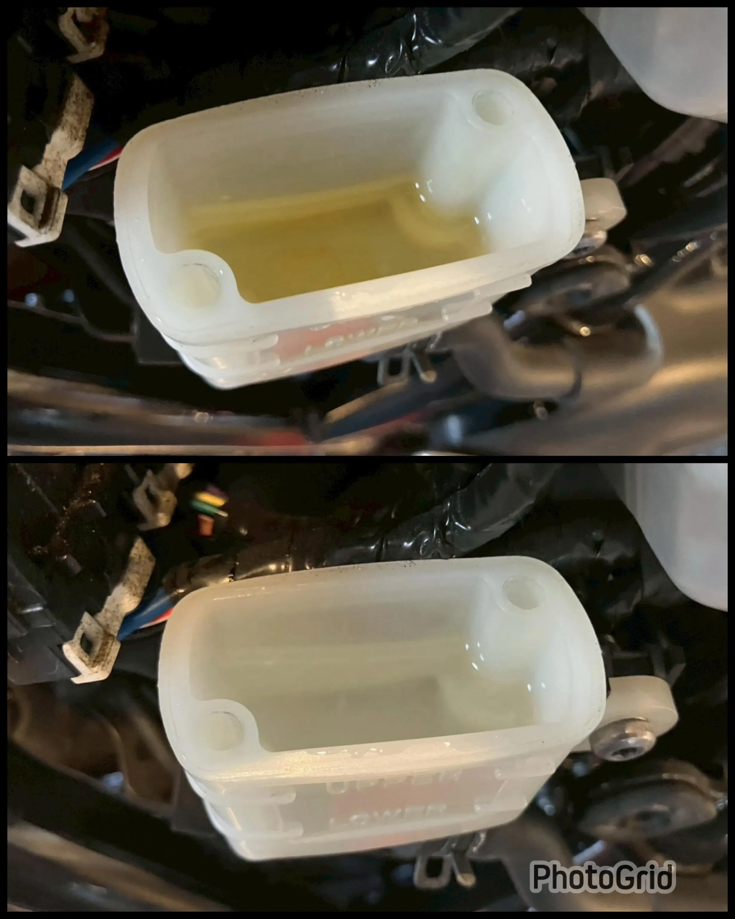 【車検整備】【トライアンフ】