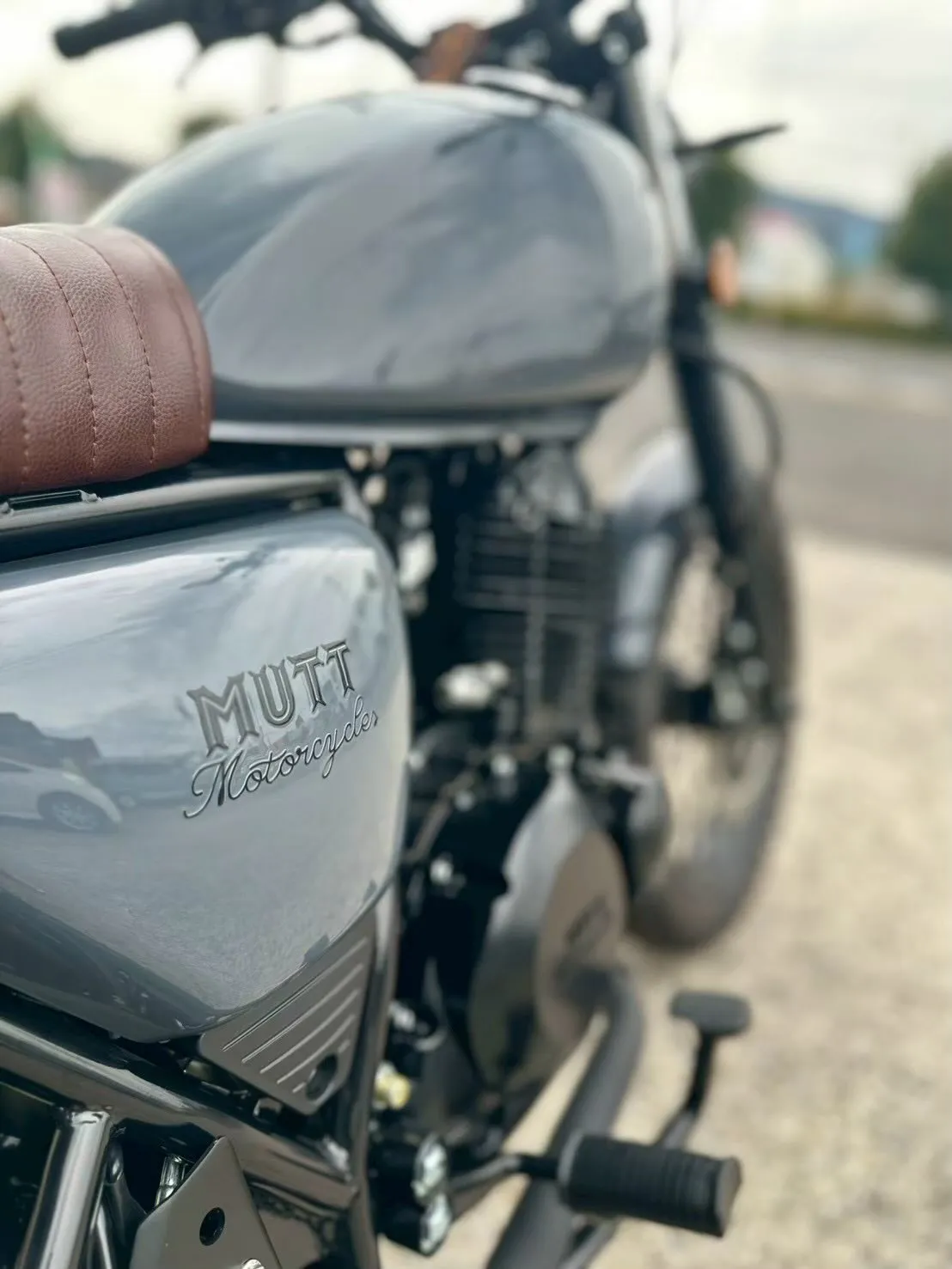 【MUTT】