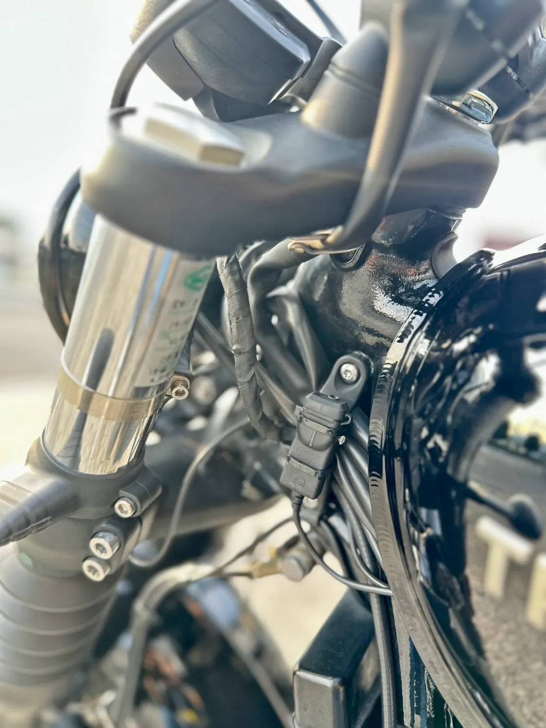 【中古車】【Triumph】
