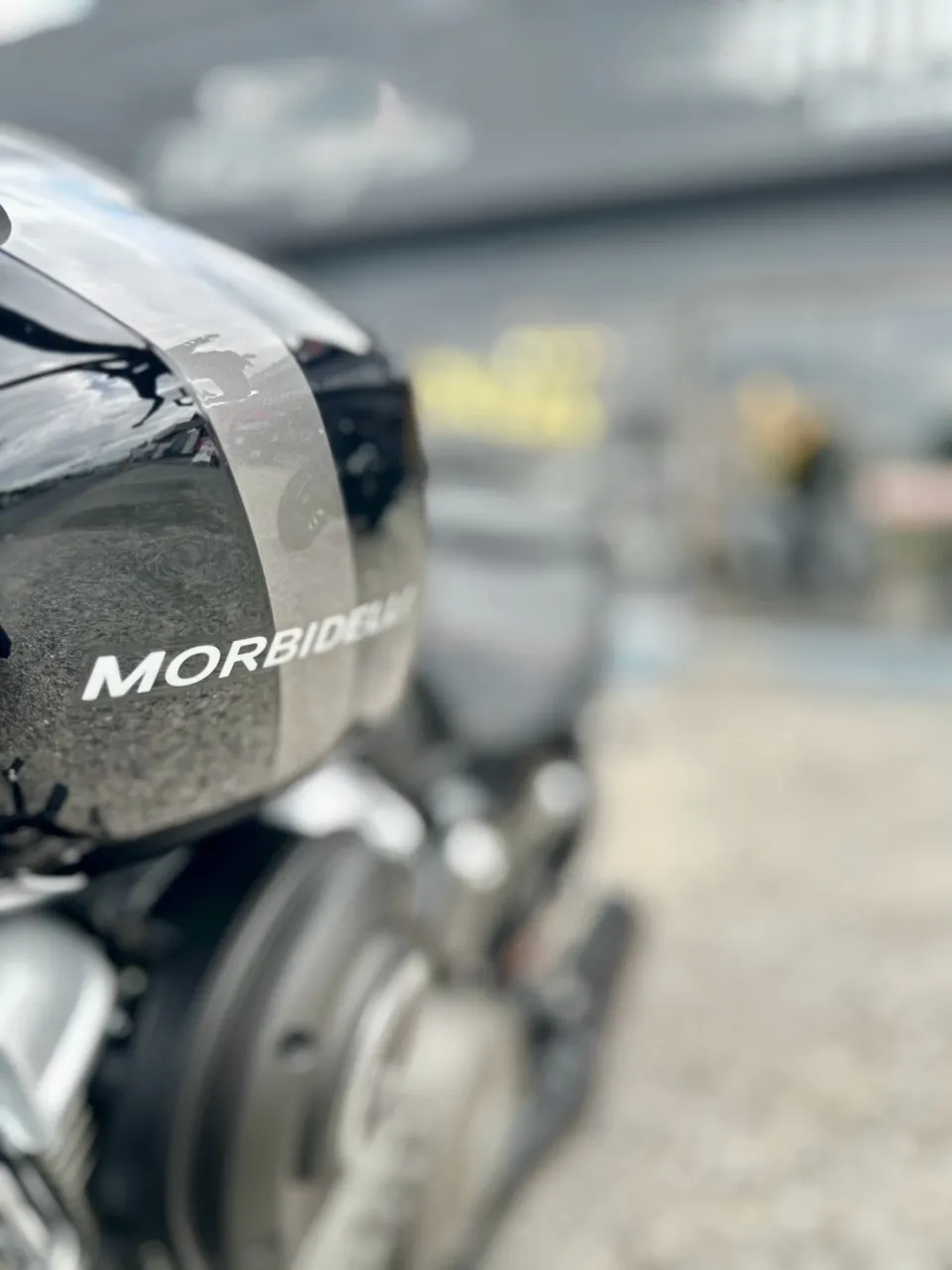 【Morbidelli】【モルビデリ】