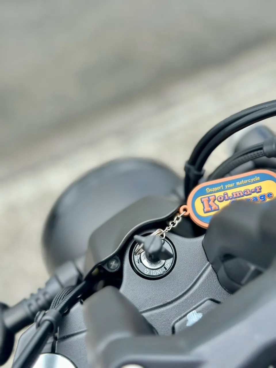 【Morbidelli】【モルビデリ】