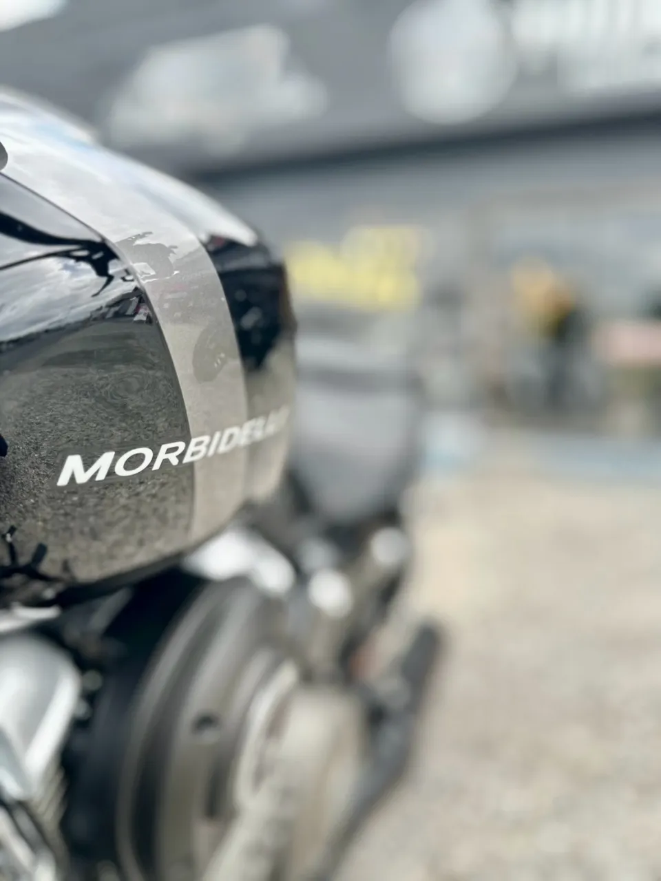 【Morbidelli】【モルビデリ】